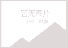 偃师海莲金融有限公司